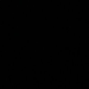 Meet your Posher, America